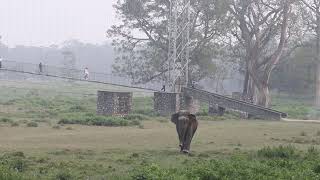 हार्दिक श्रदान्जली माकुना Rest in peace