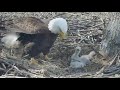 hays eagles h13 bonks mom 2021 03 30 15 42 27