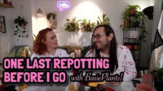 MY LAST REPOTTING (with Miro from @BasiePlants)!