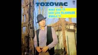 Predrag Zivkovic Tozovac - Sama si - (Audio 1983) HD