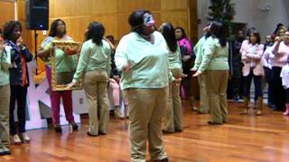 UNCP Alpha Kappa Alpha (Fall 2012)