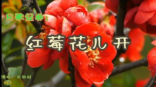 红莓花儿开 - 俄罗斯民歌。演唱：关牧村