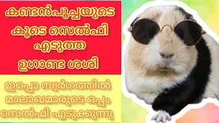 അണ്ണന്റെ കു‌ടെ സെൽഫി 😆 Malayalam comedy fun dub #comedyvideo #funnyvideo