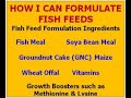 How to Formulate Catfish Feed Using Simple Steps