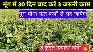 मूंग में 30 दिन बाद करें 3 जरूरी काम, पूरा पौधा फूलों से लद जायेगा / Moong ki kheti / Moong farming