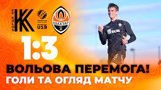 U19. Колос – Шахтар – 1:3. Усі голи та огляд матчу (17.10.2024)