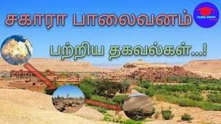 Biggest Sahara Desert l மிகப்பெரிய சகாரா பாலைவனம் l Secret Of Sahara Desert l