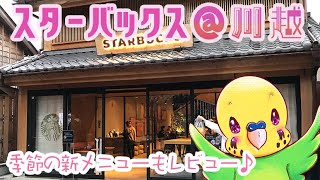 【旅するインコ】が川越・スタバ鐘つき通り店で春メニュー ♪   KAWAGOE