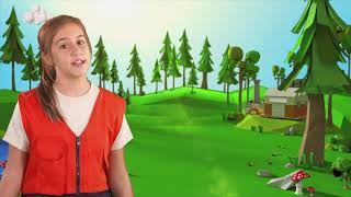 Smurfit Kappa - Video for children on how paper is made