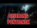 BERCAKAP DENGAN JIN SIRI 223 & 224  || DISERANG PONTIANAK