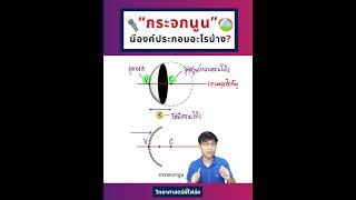 กระจกนูน มีจุดอะไรบ้าง ⁉ | วิทยาศาสตร์พี่โฟล์ค