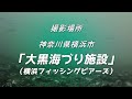 水中動画（2024年11月28日）in　大黒海づり施設