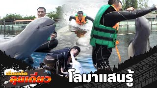 เรื่องเด็ดลุยเดี่ยว | โลมาแสนรู้ เขาฝึกกันยังไง จ.จันทบุรี | ข่าวเที่ยงอมรินทร์ | 23 ส.ค.65