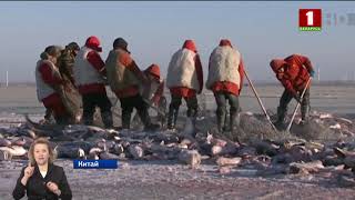 В Китае проходит зимний фестиваль