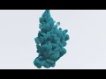 covector fluids siggraph 2022