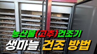 고추(농산물)건조기로 생마늘 건조하는 방법 / 건조기 온도. 시간 설정 방법