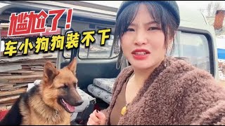 本打算把面包车改成床车带着狗狗自驾游，结果又出新状况，尴尬了《东北女孩一个人自驾环游中国》