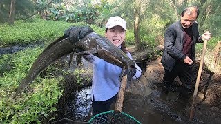 家前面的水潭藏好货，渔家妹连忙带上装备，没想到竟抓出野生肥货