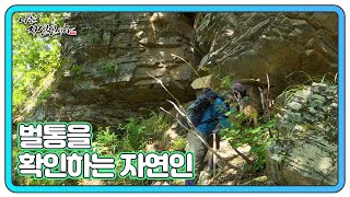 어디 계세요~! 축지법 쓰는(?) 자연인 따라 깊은 산속 벌통 확인하기!! MBN 240828 방송