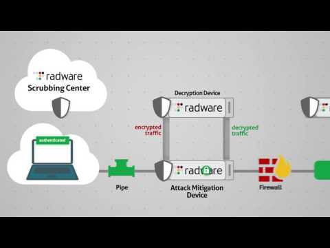 SSL Attacks and TLS Attacks: DDoS Mitigation Solutions – Radware