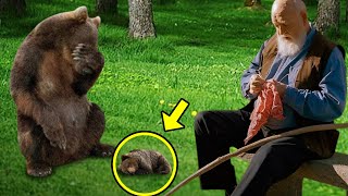 Injured Mama Bear Brought Her Dying Cub To This Man, Then He Did Something Unbelievable!