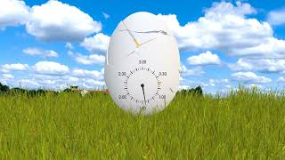 Funny Egg Timer 3 Minutes With Surprise At The End
