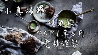 【🧡小真塔羅占卜🧡】雙魚座2021年6月愛情運勢