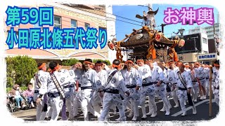 第59回小田原北條五代祭りまち衆のお神輿と記念撮影 おまけでちょっとだけ撮れた忍者ショーと鉄砲実演