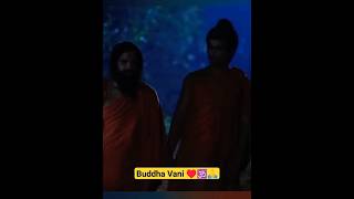 ♥️🕉️🙏Buddha Vani | buddha | buddhism |buddha story #shorts