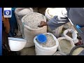 Kano Agric Dev: Introduction Of GMOs Sparks Mixed Reactions