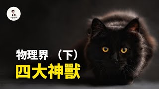 【薛定諤的貓】和【拉普拉斯獸】物理界四大神獸下— 十七說