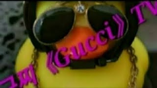 구찌《Gucci》TV 라이브 방송 94  몸 회복중