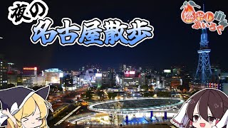 【ゆっくり解説】夜の名古屋駅周辺散策【旅動画】