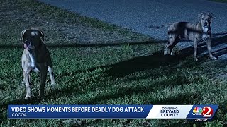 Video shows moments before deadly dog attack in Brevard County