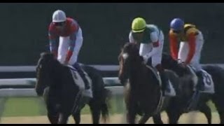 日本ダービー　5月26日　ロングハイライト　キズナ1位！　武豊がダービー5勝目！