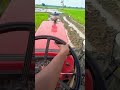 massey ferguson 246dynatrack 4wd working in mud.&king .