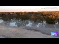 mangrove walk at abudhabi അബുദാബിയിലെ കണ്ടൽക്കാട് കണ്ടിട്ടുണ്ടോ