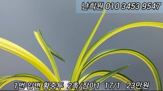 1월4일 토요일 2차 소개합니다.  입실추천합니다.