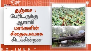 தஞ்சை மாவட்டம் அதிராம்பட்டினம், பேராவூரணி : பேரிடருக்கு ஆளாகி மரங்களின் சிதைகூலமாக கிடக்கின்றன