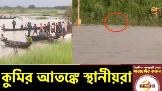 ১০ দিনেও উদ্ধার করা যায়নি জলাধারে আটকে পড়া কুমির | Faridpur News | Bangla TV