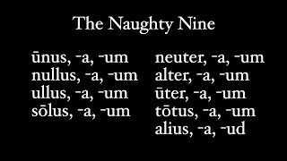 The Naughty Nine, UNUS NAUTA, ਜਾਂ Pronominal Adjectives