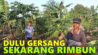 BUAH DARI KETEKUNAN PAK CIPTO JADI RIMBUN DENGAN TANAMAN BUAH DAN SAYUR! PEMUKIMAN TRANSMIGRASI SP8