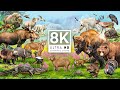 MAJESTIC CREATURES 8K ULTRA HD 120FPS | with Catchy Cinematic Music (color dynamic)