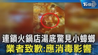 連鎖火鍋店湯底驚見小蟑螂 業者致歉:應消毒影響｜TVBS新聞 @TVBSNEWS02