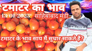 13/जनवरी/2025 🍅टमाटर में आने वाले समय में सुधार संभव देखे विडियो |tomato rates #tamatar #tomatorate