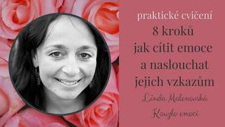 8 kroků jak cítit emoce a naslouchat jejich vzkazům |praktické cvičení| |Linda Malenovská|