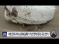 낙동강하구에 쇠제비갈매기 9년 만에 최대 규모 번식 2022 06 30 목 뉴스데스크 부산mbc