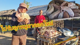 ขับชาเล้งไปรับลูกหมู มาอยู่คอกใหม่จ้า 9 กุมภาพันธ์ ค.ศ. 2025