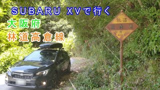 【車載動画】2022年8月　SUBARU XVで行くドライブ 大阪府「林道高倉線」