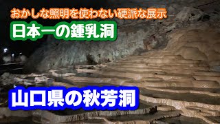 【日本一の鍾乳洞】山口県美祢の秋芳洞にやって来た！【硬派で生態系に優しい照明】